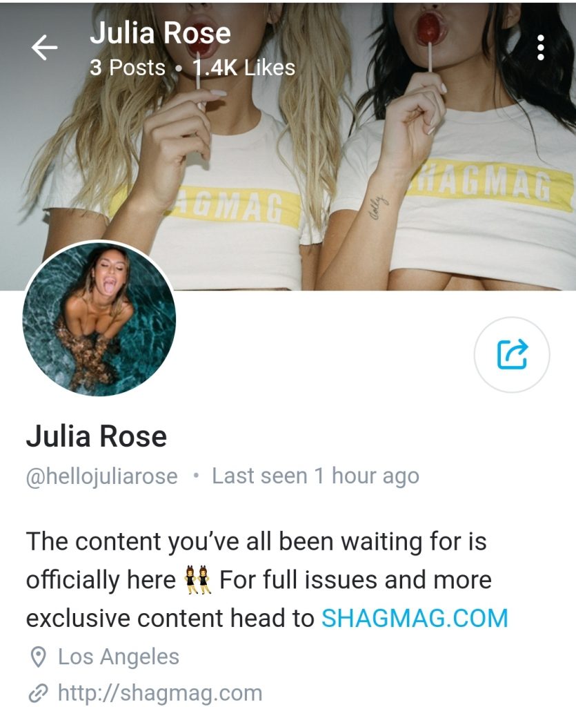Only fans bio